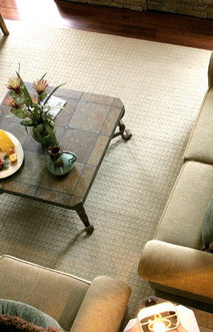 Accents In Carpet Cleaning2
